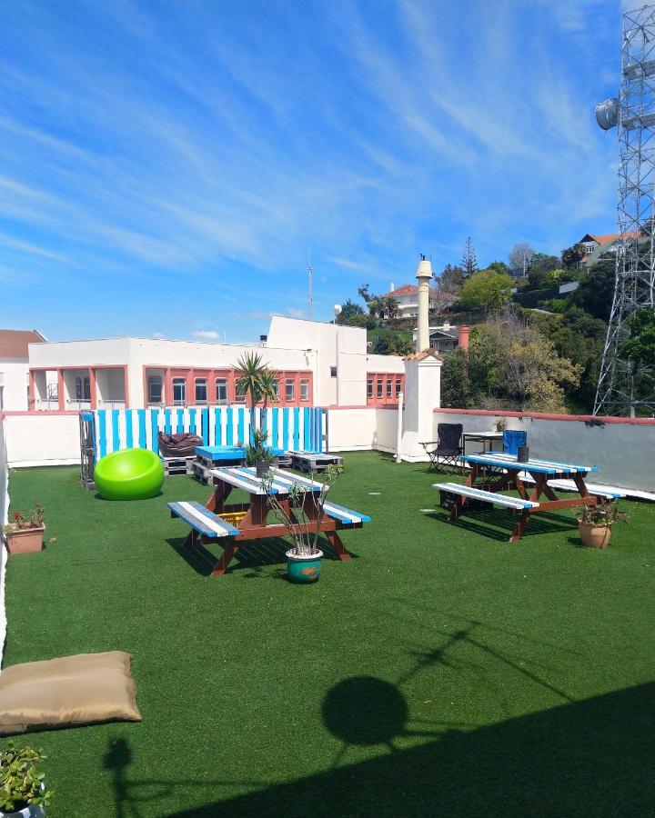Crashpalace Backpackers נאפייר מראה חיצוני תמונה